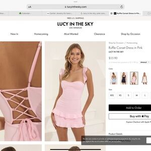 Lucy in the sky brand new never worn pink corset dress